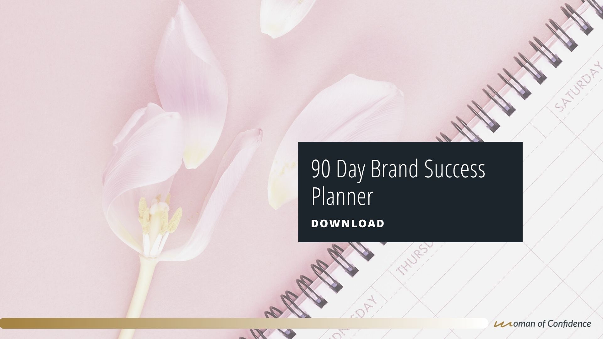 90 Day Planner Resource Image
